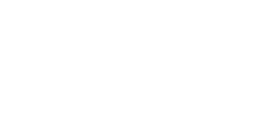 Flow Society
