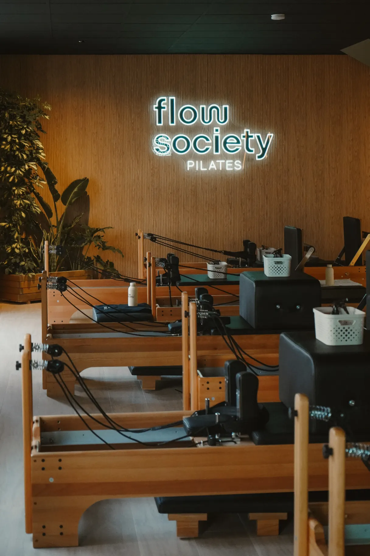 Flow Society Studio